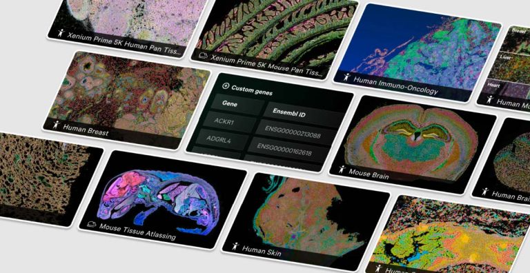Discovering spatial transcriptomics