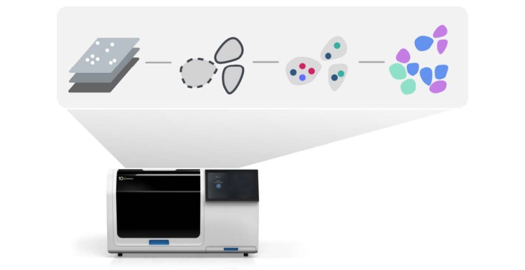 Discovering spatial transcriptomics with 10x Xenium - BIA Separations CRO
